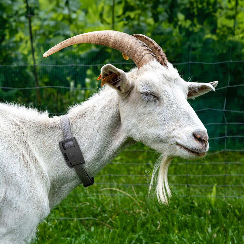 畜牧業牛羊馬定位器