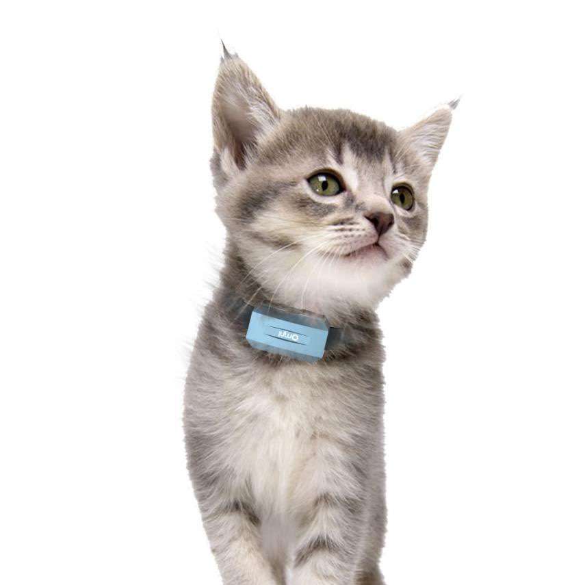 擁有專業(yè)寵物定位器幫助你解決寵物丟失問(wèn)題